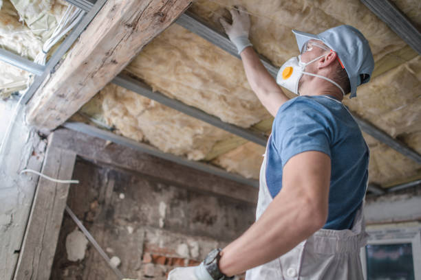 Best Insulation Contractors for Homes  in Millersville, TN